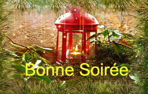 Bonne soirée